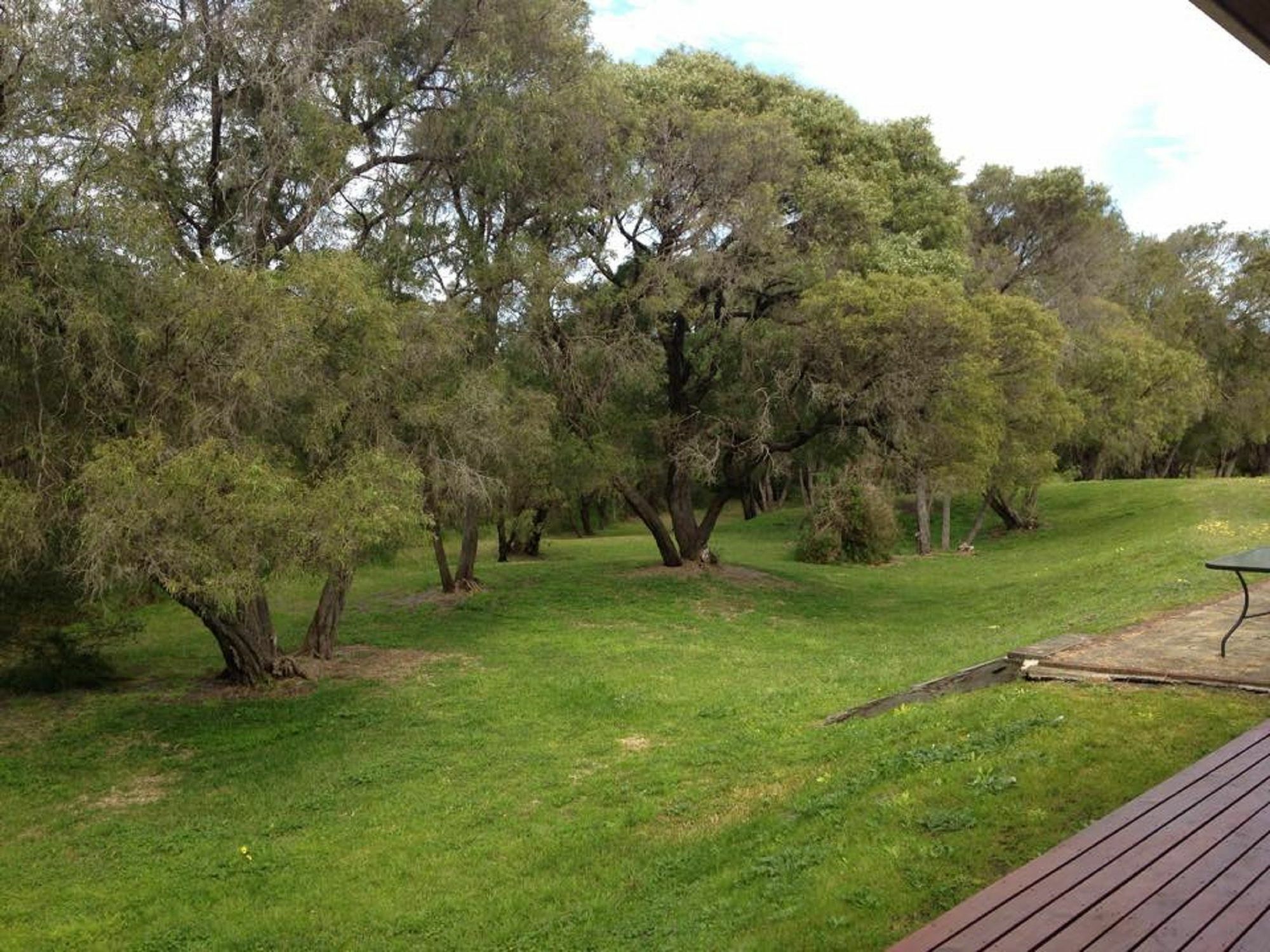 Emu Beach Chalets Albany Buitenkant foto
